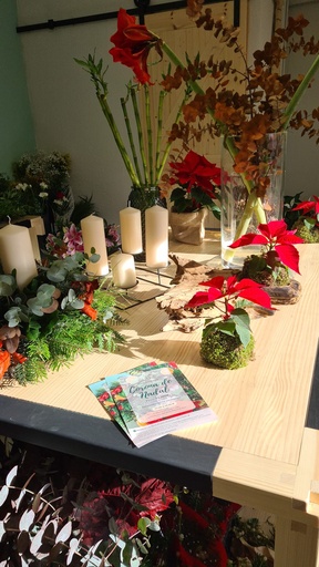 Kokedama with poinsettia 1/12