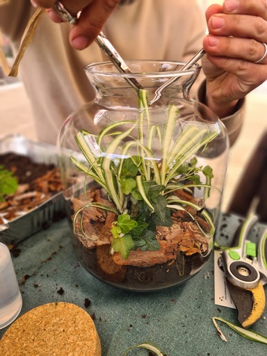 Terrarium workshop 23/10